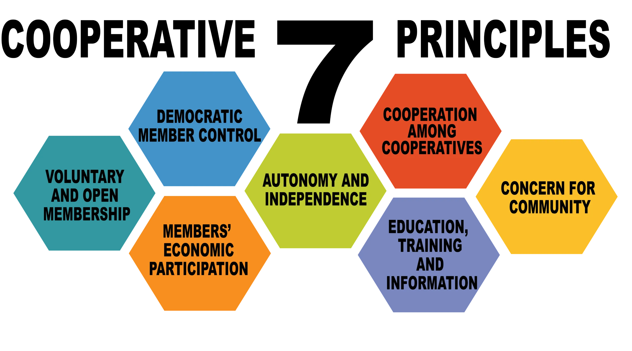 7-principles Cooperative 7 principles
